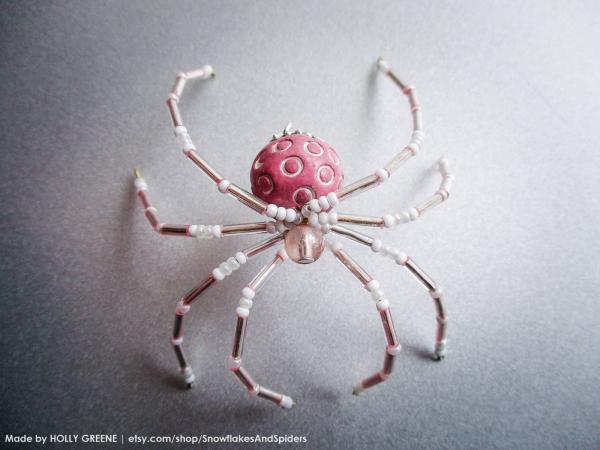 Spider in recipient