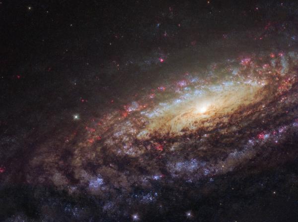 Spiral Galaxy