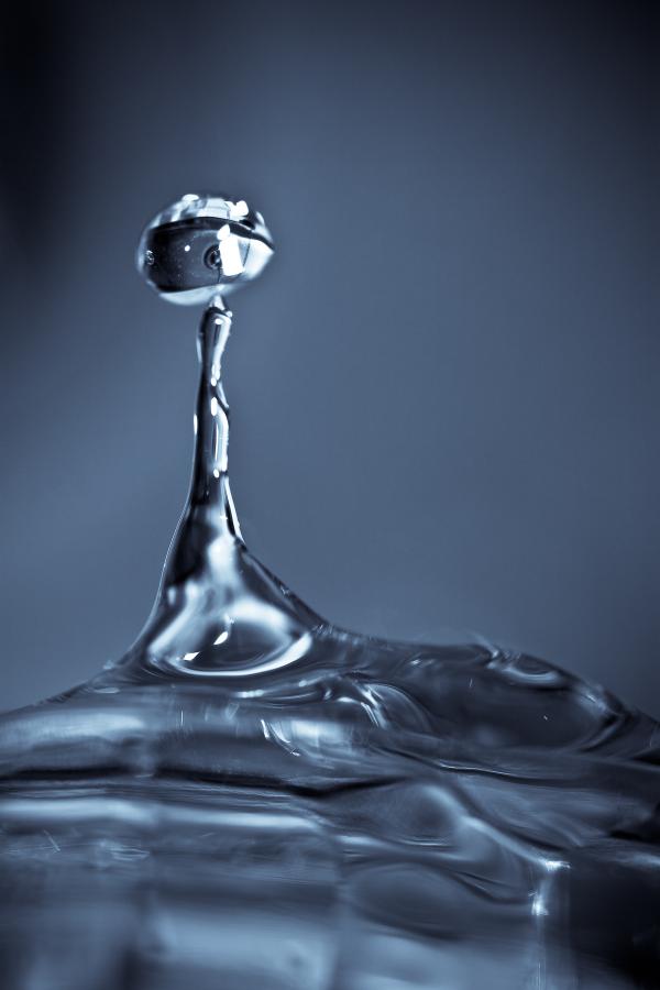 Splash