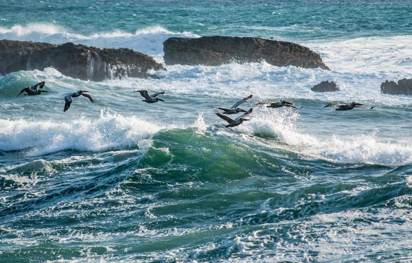 Splashing Waves