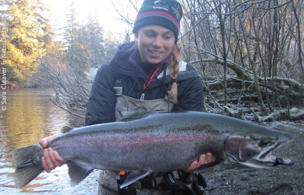 Spring 2015 Steelhead