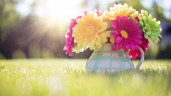 Spring
