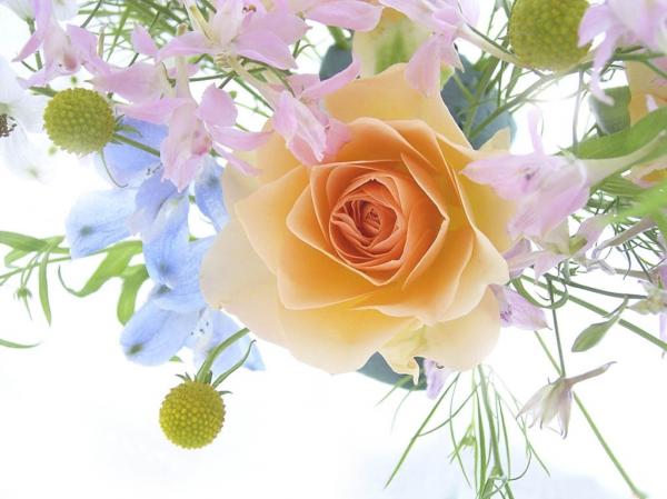 Spring bouquet with a rose