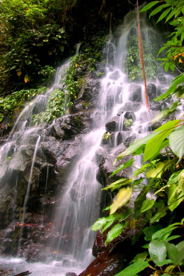Spring of pure water