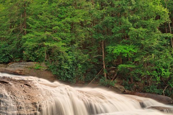 Spring Swallow Falls - HDR