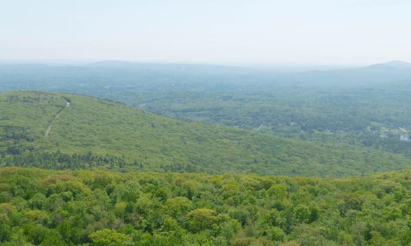 Spring's Green Hills