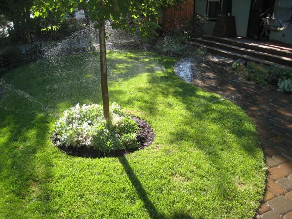 Sprinklers view