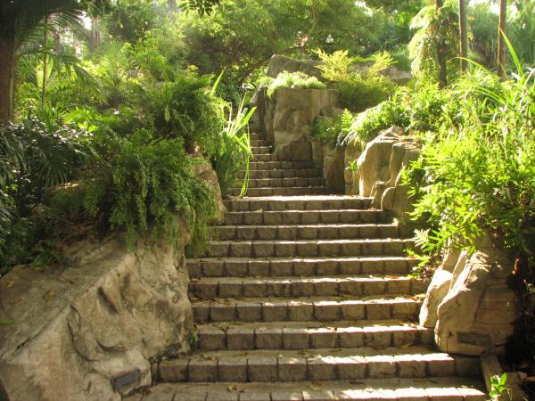 Stairs with no end