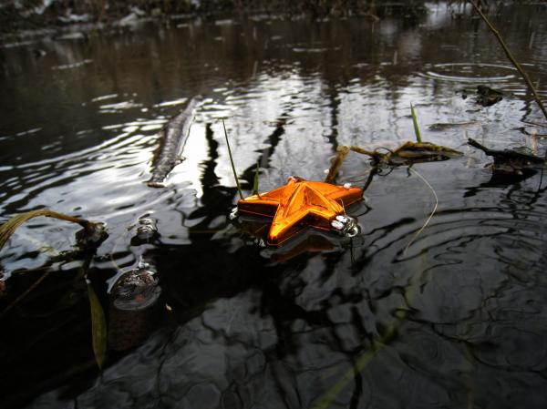 Star