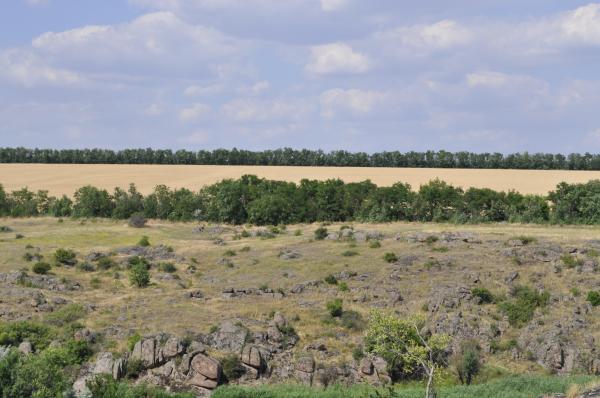 Steppe