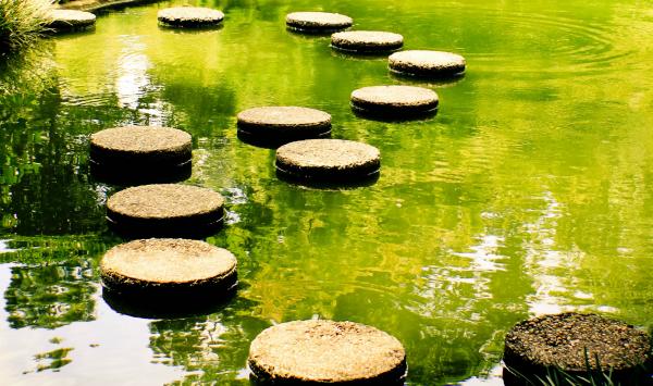Stepping Stones