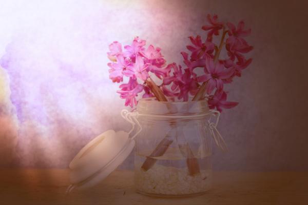 Still Life