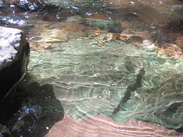 Still mountain river water