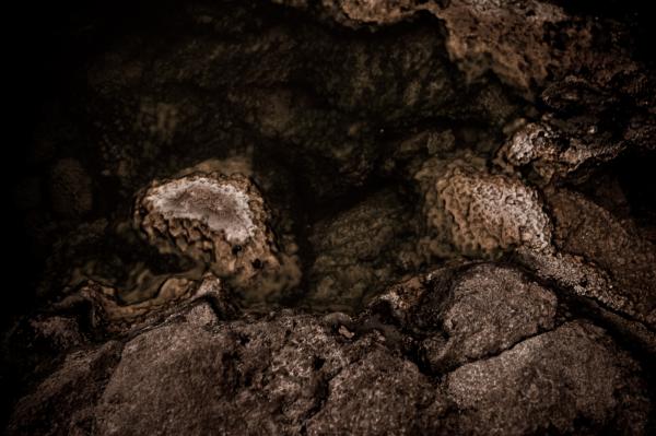 Stone and Water Texture
