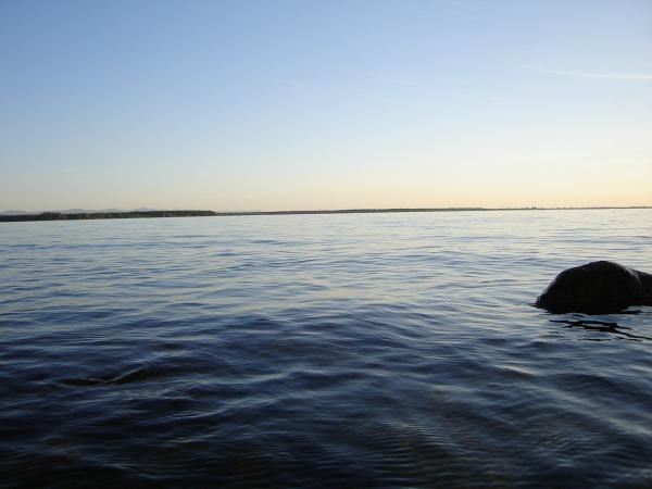 Stone in water