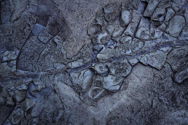 Stone Surface Texture