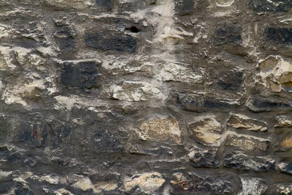 Stone Texture