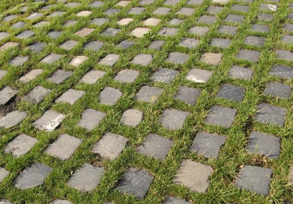 Stone with Grass