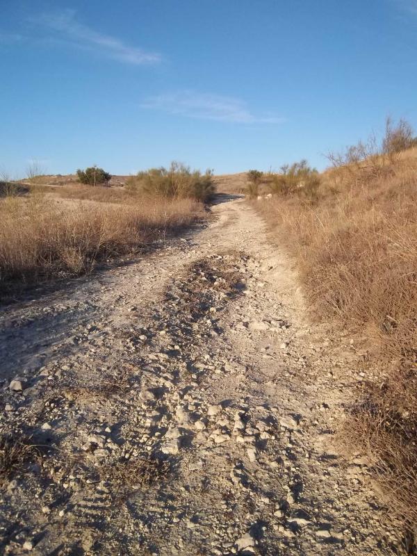 Stony Road
