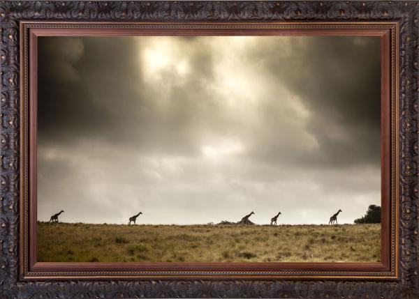 Stormy Journey