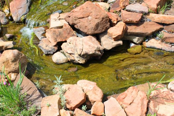 Stream