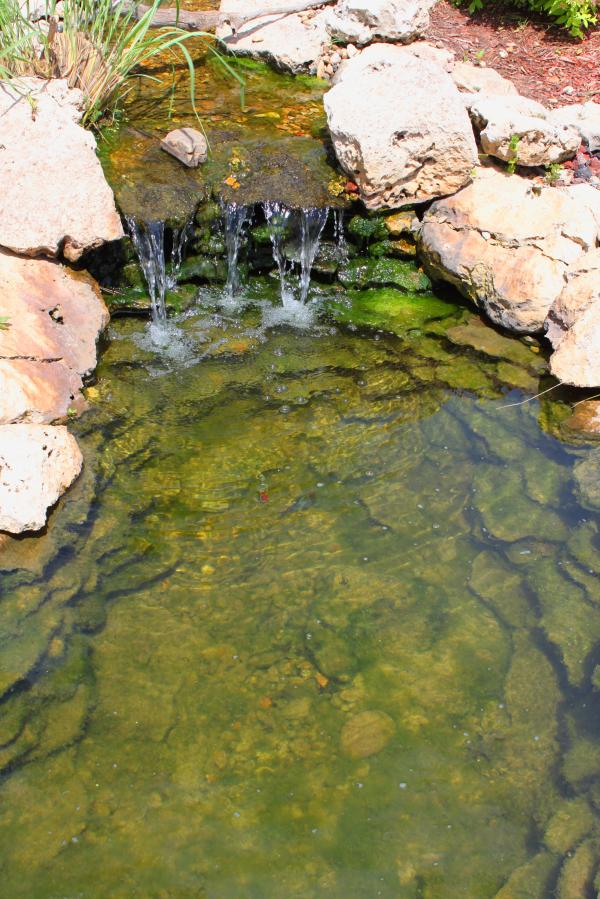 Stream