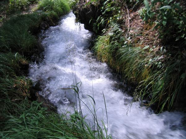 Stream