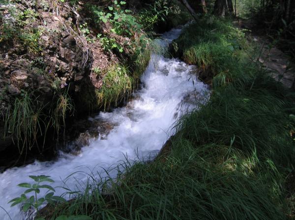 Stream
