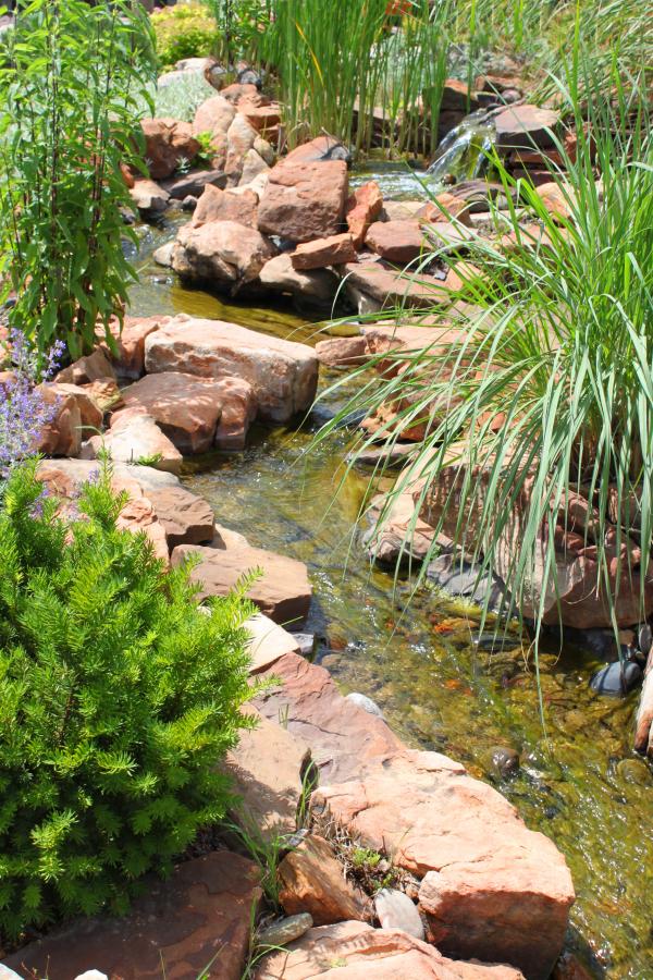 Stream