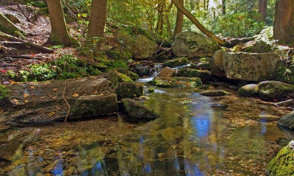 Stream at Lake Minnewaska State Park