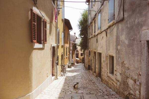 Street