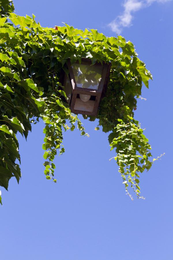 Street lamp with blue sky