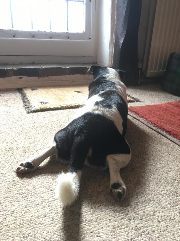 Stretching to the Door