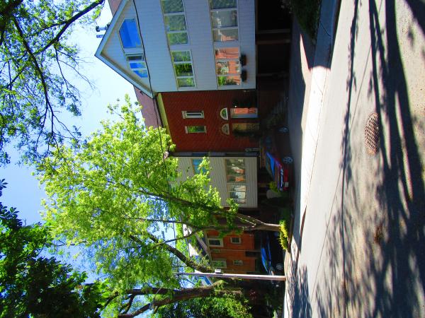 Strolling along Berkeley, near Dundas, 2017 06 08 -h