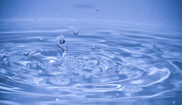 Study of Water