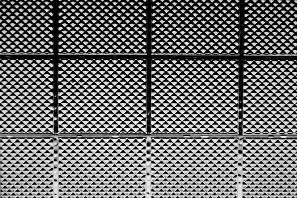 Study on Contrast in Black &amp; White