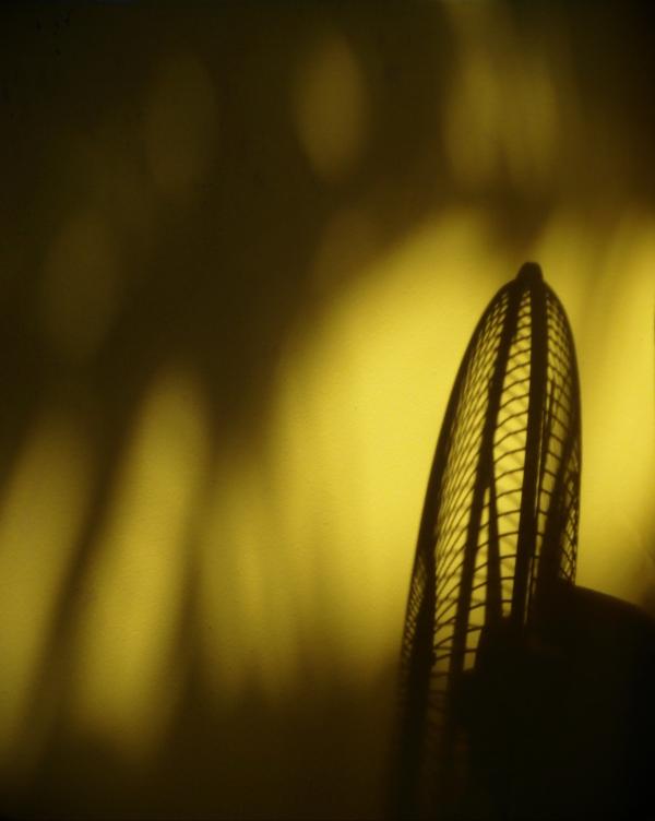 Summer Heat Fan Silhouette