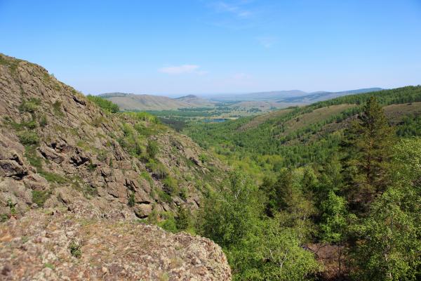 Summer landscape