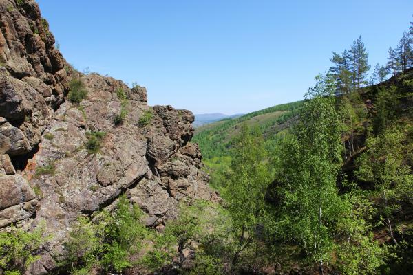Summer landscape