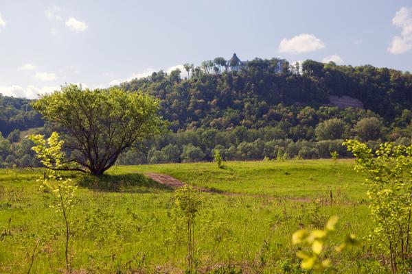 summer landscape