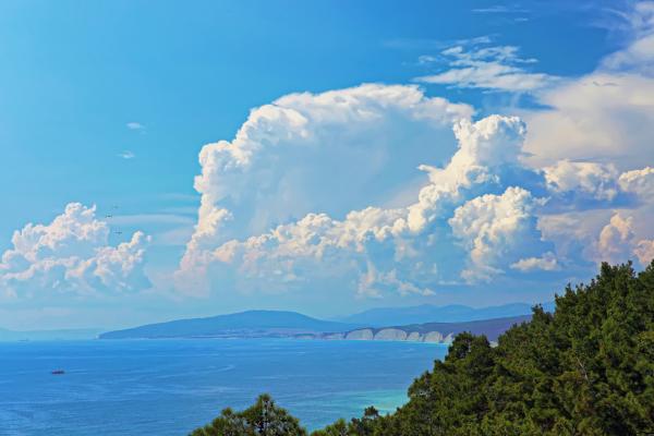 summer landscape