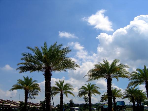 Summer Resort