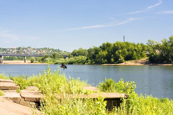 summer scene