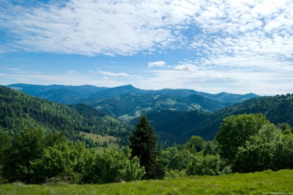 summer view