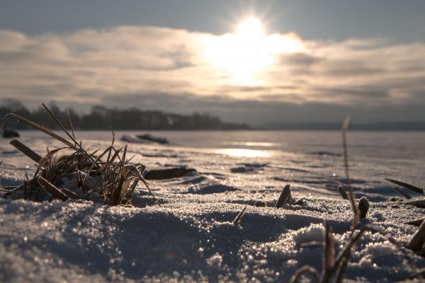 Sun and winter