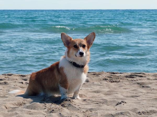 Sun at the beach