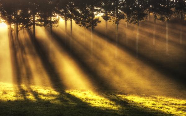 Sun Beam
