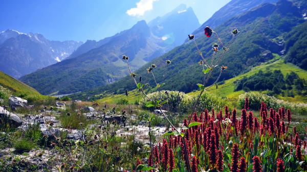 Sun soaked valley