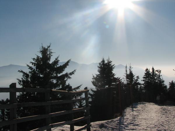 Sunny winter day