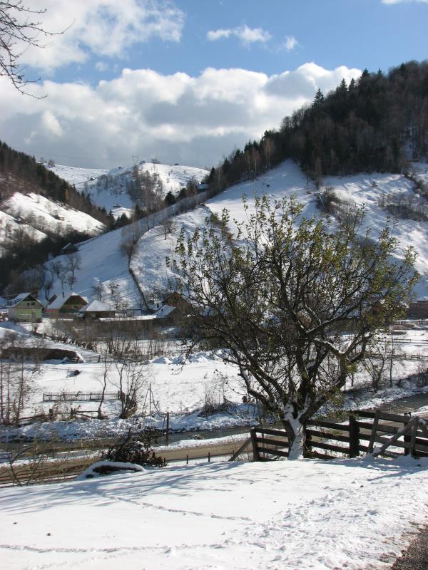 Sunny winter day